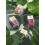 Nails.INC Nails.INC 73% Plant Power Goede Energie Efficiënt 4