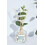 Botanical Reed Diffuser - Eucalyptus & Jasmine - 150ml 3