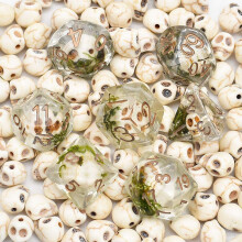 7PCS Polyhedral DND Dice, D&D Dice, Skull Dice Set for Dungeons and Dragons RPG Table Games (Skull with Seaweed)