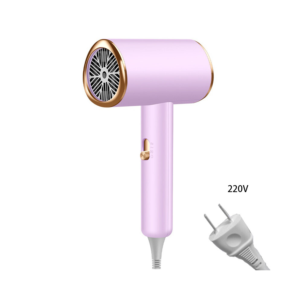 Dinamr Pink (Pink) Hair Dryer Three Color Fashionable Household Highpower High Wind Speed 1200W 220V