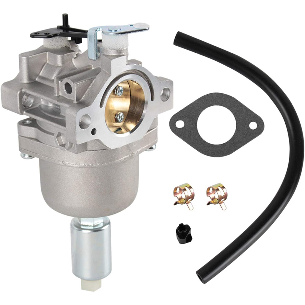 Autokay Carburetor Compatible With Briggs Stratton 591731 796109 594593 Carb 6935462209446