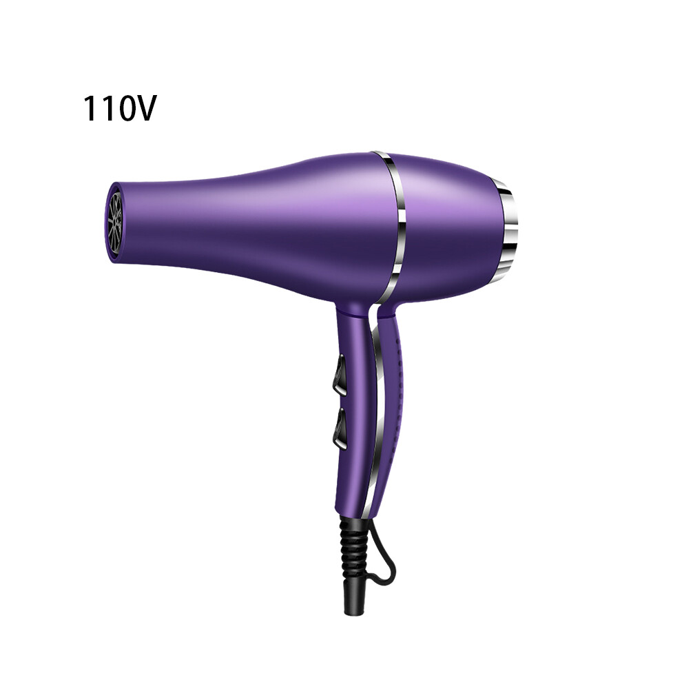 (PurpleUS) Hair Dryer Hair Salon Style 2color Highpower Household Useu 2200w 220v110v