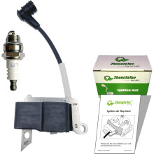 ZhongfaTec-656 Ignition Coil P021003910, A411000110 with Spark Plug for Trimmer PE-231 PE-260 GT-230 SRM-261 SRM-2 PB260 PB261 60 SRM-230 PPT-260