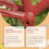 (100ml + brush (rust red)) Multifunctional rust removal and conversion agent, rust and anti-rust metal surface rust removal cleaner 4