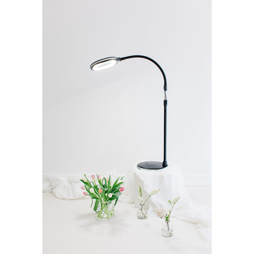 Native Lighting 3In1 Floor Magnifier Black