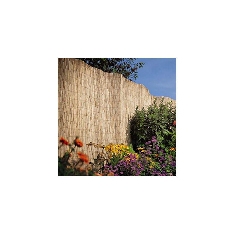 Elegant Whole Natural Peeled Reed Screening Privacy Screen Fence 1 x4M