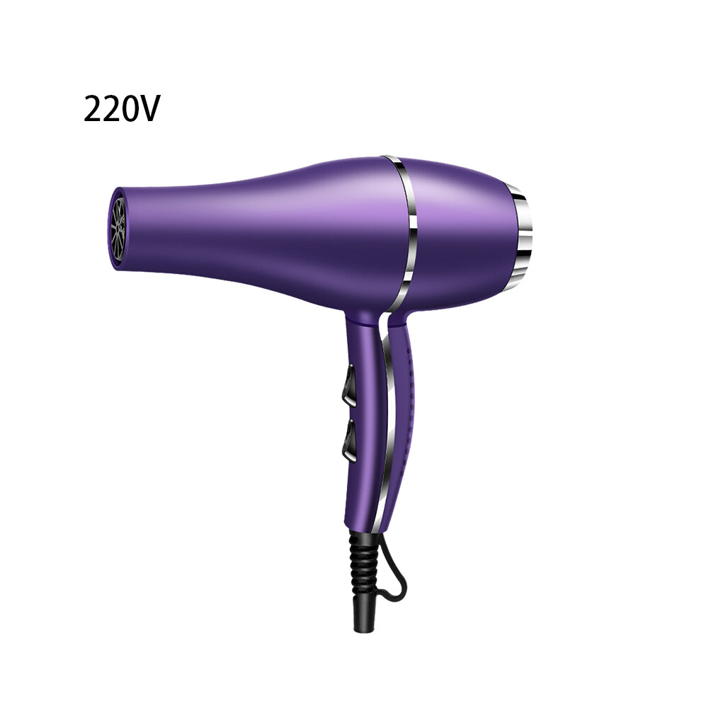 (Purple EU) Hair Hair Dryer Salon Style 2color Highpower Household Useu 2200w 220v110v