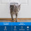 , Microchip Activated Cat Flap, Exclusive Entry, Easy Install, 4 Way Manual Locking, Energy Efficient, Draught Excluder, Convenient - White 2