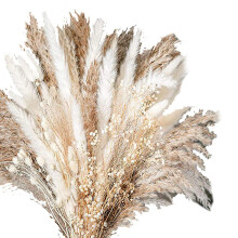 100pcs Bouquet Natural Dried Pampas Grass Bouquet Dried Flower Decor Bouquet For Wedding