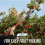 Apple Fruit Picker Head Basket Garden Tool High Tree Catcher Picks Bag 7