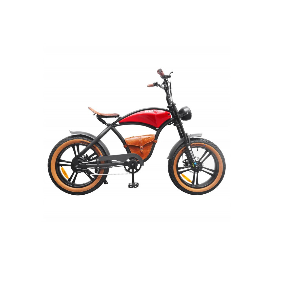 Hidoes-B10. MTB City Electric Bike 20in Fat tyre 1000wa 12.5AH Lithium Battery