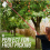 Apple Fruit Picker Pole Telescopic Handle Basket Garden Tree Catcher 2