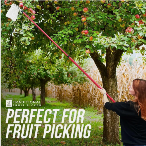 Apple Fruit Picker Pole Telescopic Handle Basket Garden Tree Catcher 1