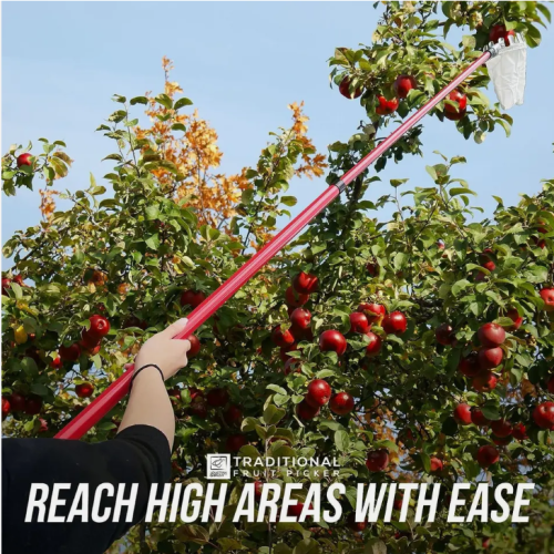 Apple Fruit Picker Pole Telescopic Handle Basket Garden Tree Catcher 2