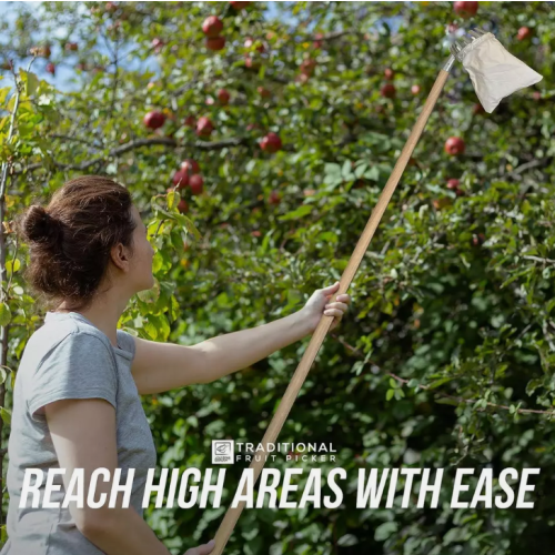 Apple Fruit Picker Pole Long Handle Basket Garden Tree Catcher Picking 1
