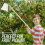 Apple Fruit Picker Pole Long Handle Basket Garden Tree Catcher Picking 4