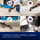 Refurbished Bissell Bissell 3619E Carpet Cleaner 2