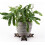 Planter Pot feet, Resin, Bronze, One Size 5