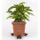 Planter Pot feet, Resin, Bronze, One Size 3