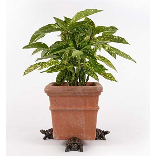 Planter Pot feet, Resin, Bronze, One Size 2