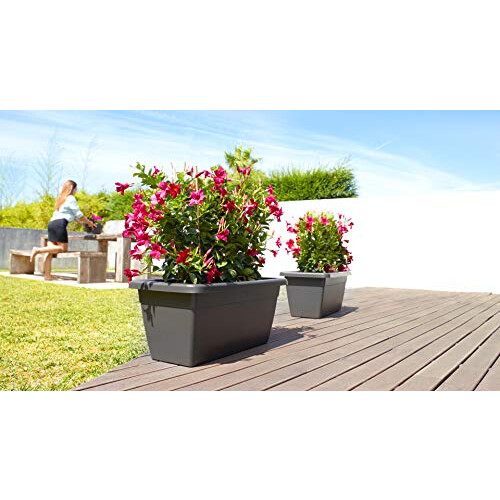 Venezia Xl Plant Box 60 cm Terracotta 2