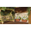 Venezia Xl Plant Box 60 cm Terracotta 4