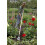 Spear & Jackson 3480BT Neverbend Professional Dutch Hoe 2