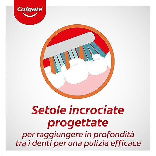 Colgate Medium Zig Zag Toothbrush, Bristles with Different Angulations, 12 Pieces 1