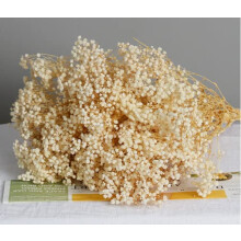 Dried Flowers Baby's Breath Bouquet ,100% Natrual Gypsophila Long Lasting Flowers for Vase Arrangements Home Decoration Photo Props Parties and