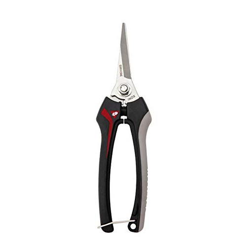 3624 INOX-CE MB - Harvesting Scissors