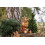 Steiff 045172 Phil squirrel 20 russet 3