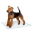 Genico Dog Mat, Large, 60 x 90 cm 3