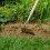 Stainless Steel Long Handled Draw Hoe 100% FSC 5