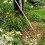 Stainless Steel Long Handled Draw Hoe 100% FSC 4