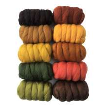 Autumn Shades - 250gm Pack of 10 Merino Wool Tops for Needle & Wet Felting and Spindle Spinning
