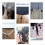 42 Pcs Cord Locks End Spring Toggle Stopper Zipper Pull Ends Fastener Buttons with 18 Yard Elastic Bungee Cord Stretch String for Drawstring, 4