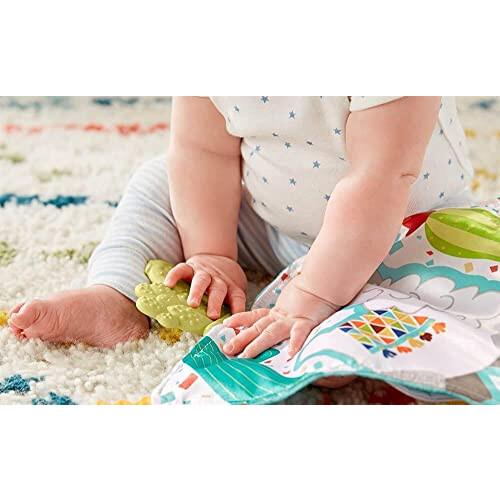 Fisher-Price Teethe & Cuddle Cactus 1