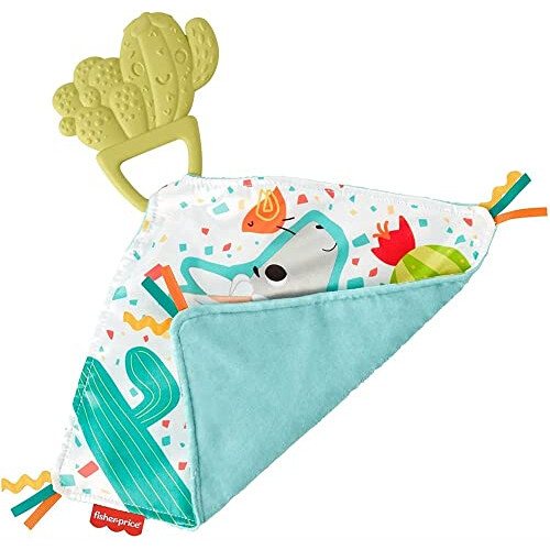 Fisher-Price Teethe & Cuddle Cactus 2