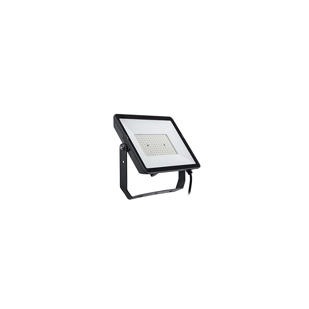 Projectline LED Floodlight [100 Watts 3000K White] for Outdoor Commercial Lighting