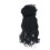 Smiffy's Beetlejuice Lydia Wig 5
