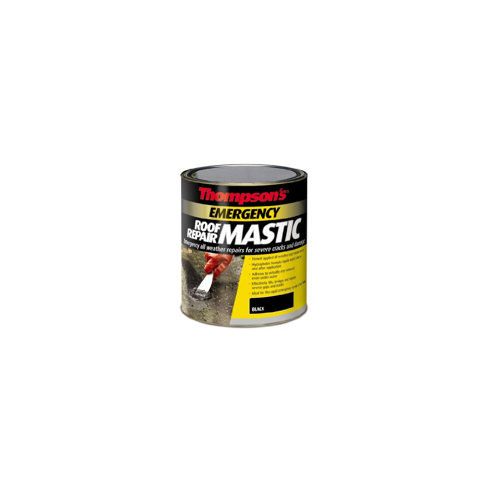 TERRM750 Thompsons Emergency Roof Repair Mastic 750 ml