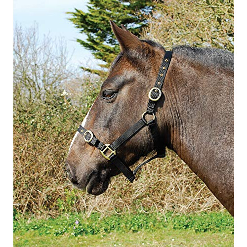 Nylon Headcollar - Full - Black