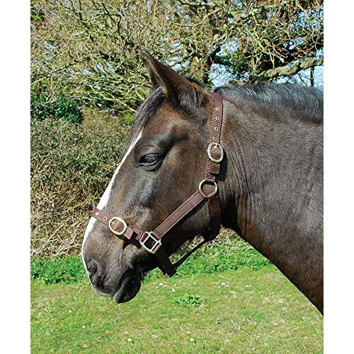 Nylon Headcollar - Shetland - Brown
