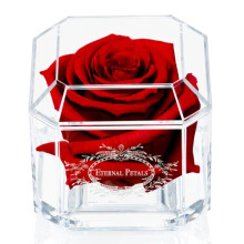 A 100% Real Rose That Lasts Years, Handmade in London, Flowers Delivery Next Day Prime UK – White Gold Solo (Deep Red)