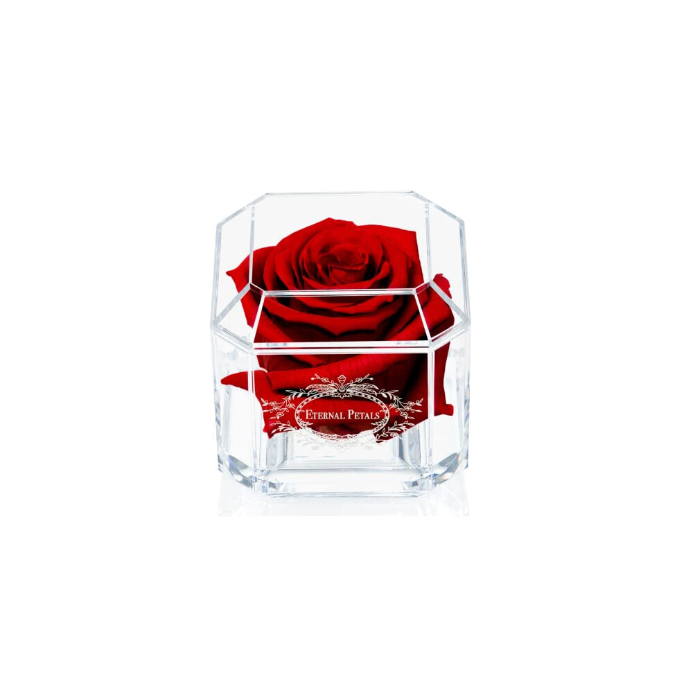 A 100% Real Rose That Lasts Years, Handmade in London, Flowers Delivery Next Day Prime UK â White Gold Solo (Deep Red)-image-OPC-PDWFMYF-NEW