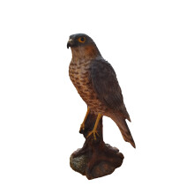Sparrow Hawk Resin Home or Garden Ornament (XRL-SHAW-D)