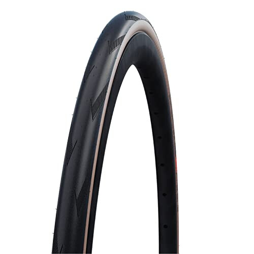 Neumático Schwalbe Pro One Tubeless/Tubetype (28-622)