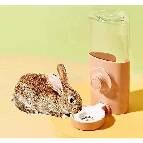 Chinchilla water bottle best sale