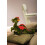 Steiff 067198 Rocky dragon 32 green - Plush Soft Toy 2