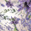 Lavender Fields 500 ml 2